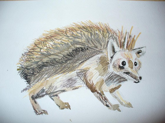 Рисунки: рисунок